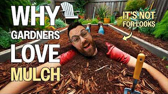 Why Your Garden NEEDS Mulch
