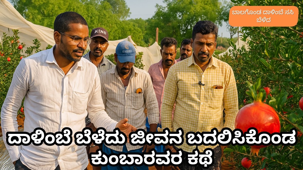 ಅವತ್ತು 50 ರೂಪಾಯಿ ಕೂಲಿ ಕೆಲಸಕ್ಕೆ ಹೋಗುವವರು ಇವತ್ತು ದಾಳಿಂಬೆ ಬೆಳೆದು ವರ್ಷಕ್ಕೆ 60 ಲಕ್ಷ ಲಾಭ ಮಾಡುತ್ತಿದ್ದೇನೆ