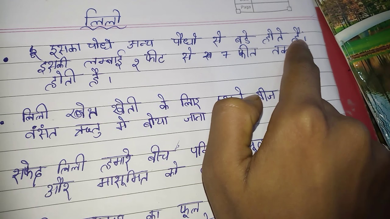 Some lines about lily flower in hindi YouTube