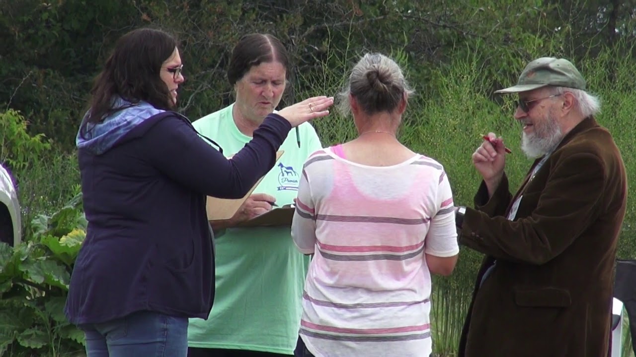 Black Russian Terrier Temperament Testing