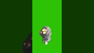Green Screen Bomb Explosion