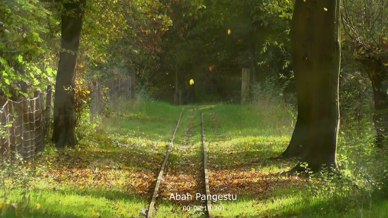 How Romantic Music Can Help You Relax for Hours: Guitar and Saxophone Magic! - Abah Pangestu