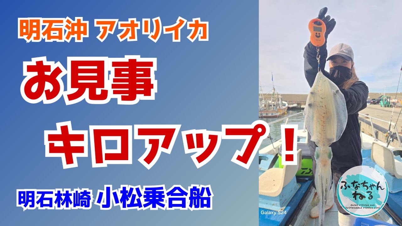 【船アオリ】今シーズン最後の挑戦！明石沖の朝便アオリ釣行！
