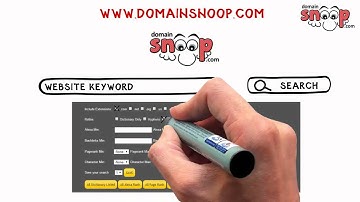 How to search for Expired Domains for free - DomainSnoop.com