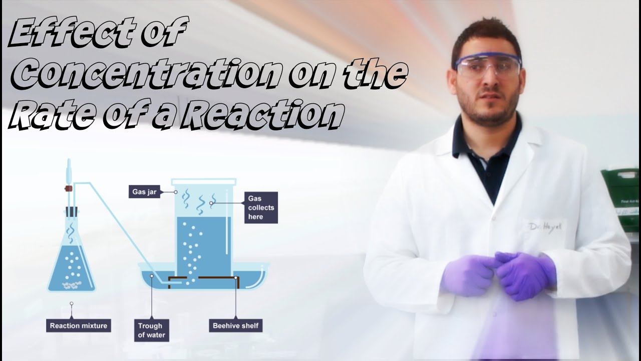 Ways to increase iq level picture 2