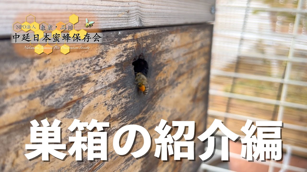 中延日本蜜蜂保存会 ～巣箱の紹介編～ - YouTube