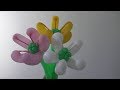 Water Lily Balloon Flower
