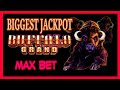 📌 Look ! Amazing Biggest Jackpot in MAX BET | BUFFALO GRAND SLOT MACHINE