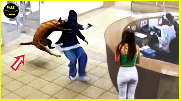 50 Hero Animals That Saved Human Lives #45-TH9 | Best moment of 2025!