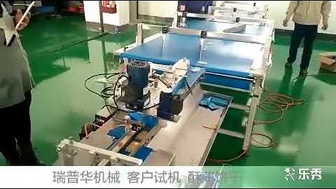 thin pancake packing machine, pancake packaging machine, biscuit packaging equipment