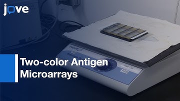 Two-color Antigen Microarrays for Detection of IgG and IgM Antibodies | Protocol Preview