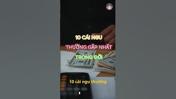 10 Cái ngu thường gặp nhất trên đời #phattrienbanthan #baihoccuocsong #duongvetinhlang
