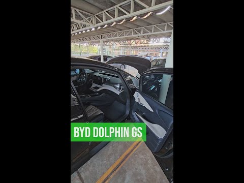 UMA SÉRIE COM 10 VIDINHOS DE BYD