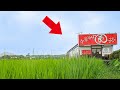 【徳島】田んぼにポツンと中華そば食堂。鉄人店主が12時間かけて作るこだわりの一杯を求めお客さん殺到の「まる虎」に密着 第6話|徳島市「中華そば まる虎」