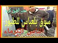 سوق بلعباس للعصافير ماشاء الله ناس كرماء🙏💌