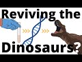 Dinosaur Revival and Genetic Engineering Quiz