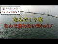 新潟の釣り！《冬も楽しめるライトショアジギング》