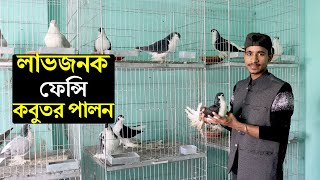 কলেজে পড়াশোনার পাশাপাশি ফেন্সি কবুতর পালন।মাসে আয় ৩০ হাজার টাকা।Fancy Pigeon Farming