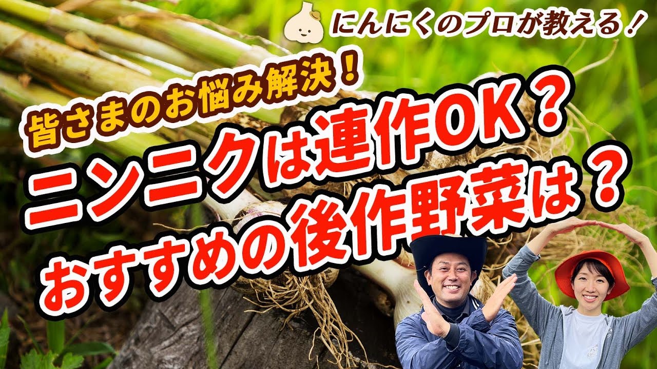 有機栽培のプロが教える ニンニクの連作 対策と後作におすすめの野菜 家庭菜園 輪作 Youtube