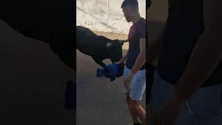 Ese Toro de Valrío 2023