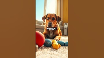 Thumbnail of Why Your Dog Sees Red Balls as Brown! Colorblind Canines Explained
