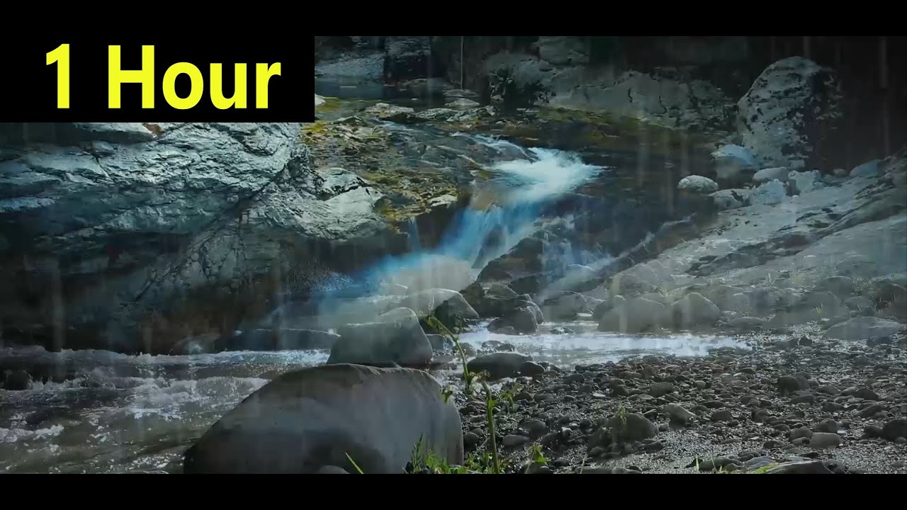 Rain Stream | Background Ambience - Nature sounds to study to | 1 Hour
