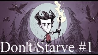 Zagrajmy: Don't Starve #1 