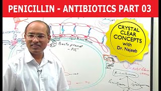 Penicillin | Antibiotics | Dr Najeeb | Part 3/4