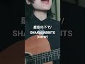 星空の下で/SHAKALABBITS (cover) #シンガーソングライター #ミズカミ #歌ってみた #星空の下で #shakalabbits