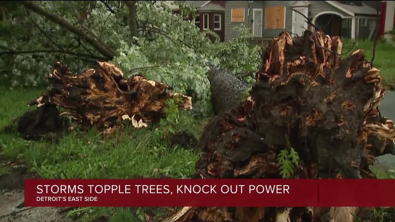 Storms topple trees, knock out power in Detroit - YouTube