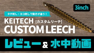 【レビュー&水中映像】ケイテック カスタムリーチ 3インチ【バス釣り/琵琶湖】
