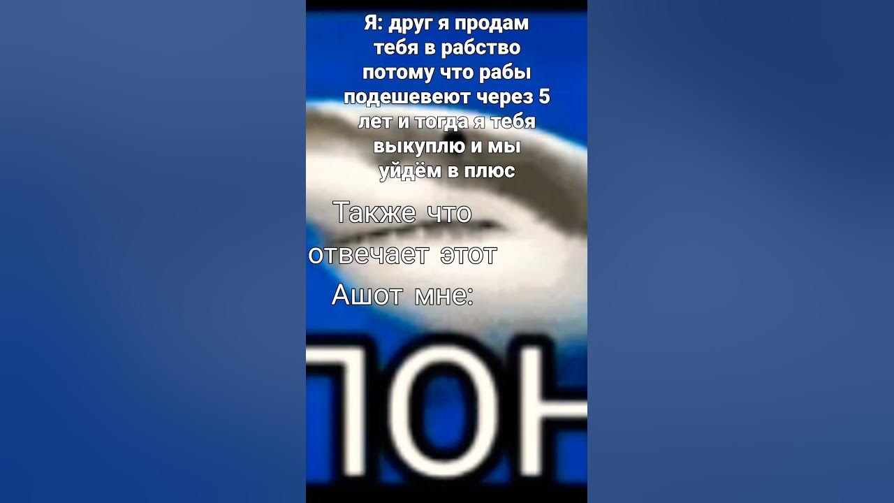 Акула пон мем фото