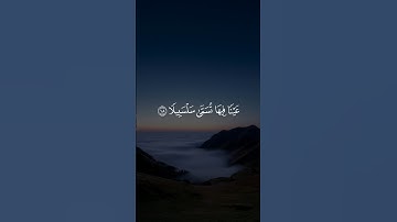 عَيْنًا فِيهَا تُسَمَّىٰ سَلْسَبِيلًا || سورة الإنسان #محمد_اللحيدان 🤍🌱