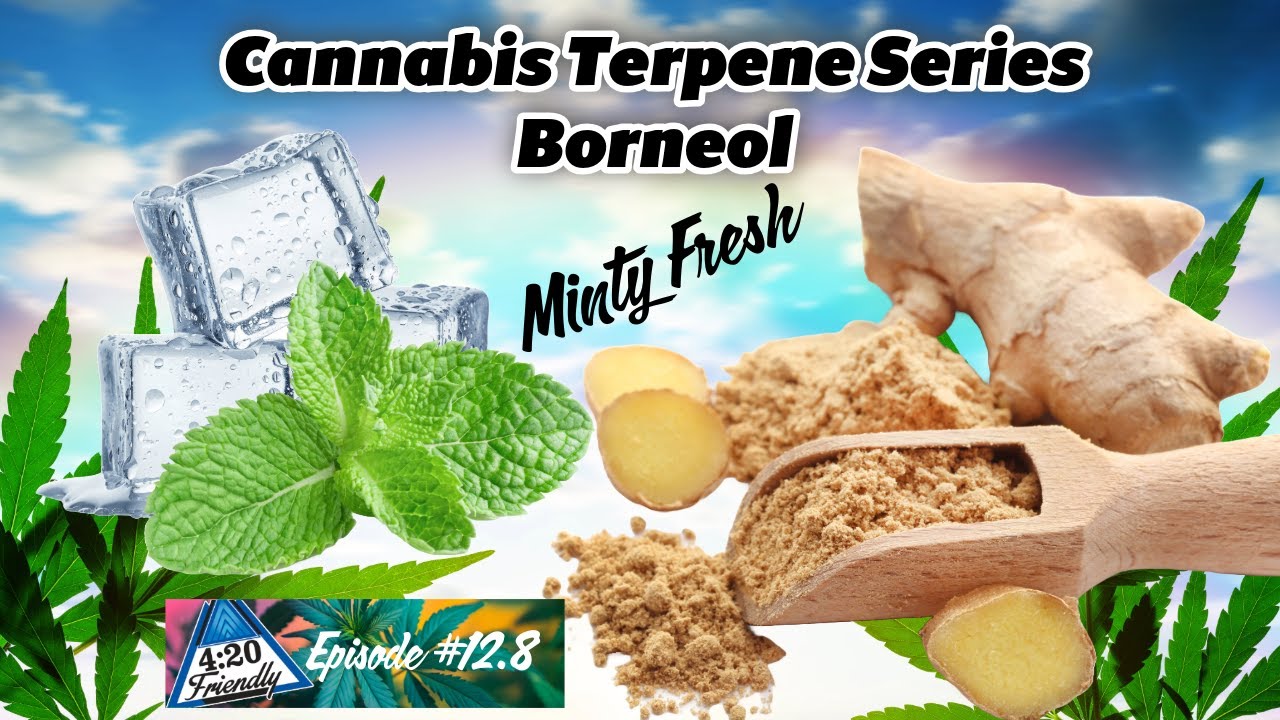 Terpene Tuesday: Borneol