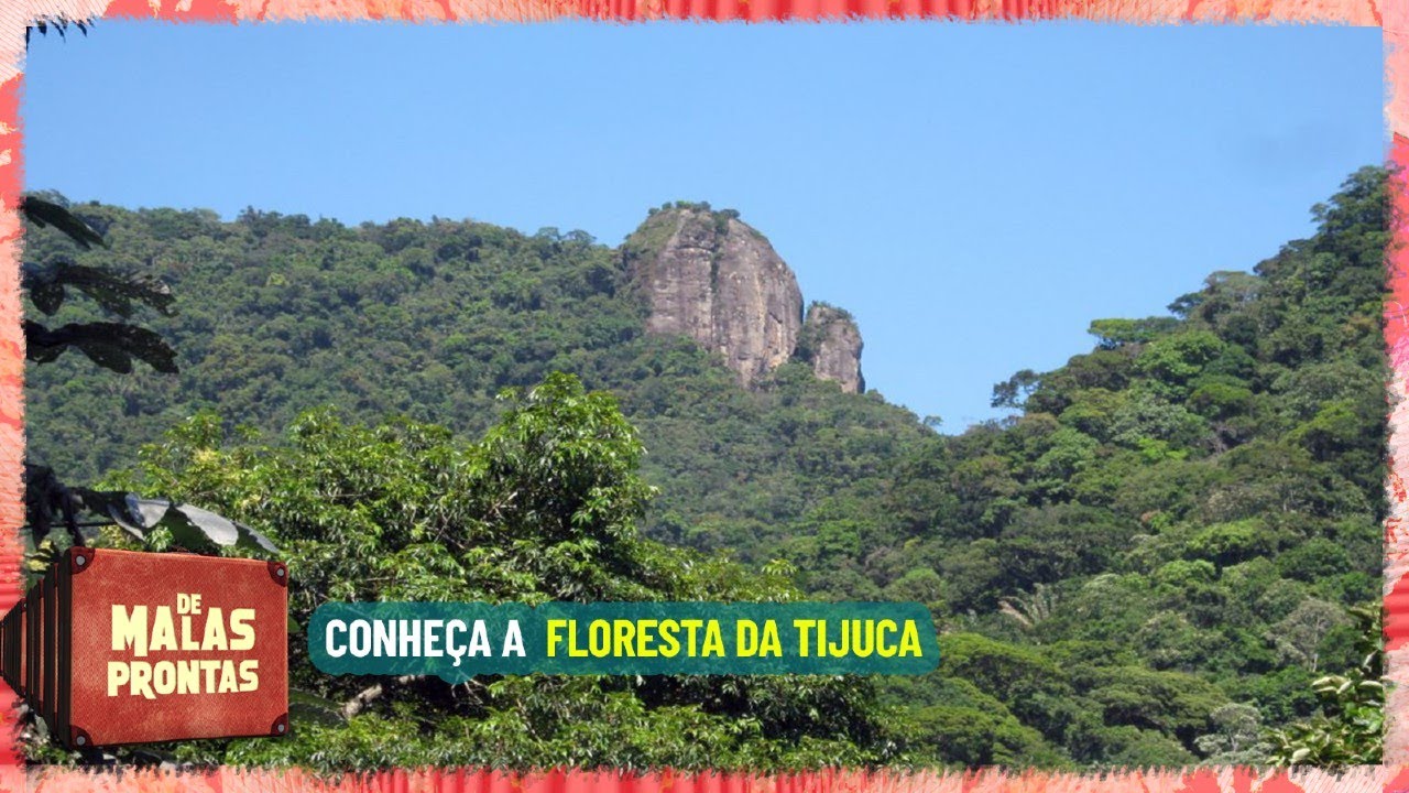 Floresta da Tijuca: Conheça o parque Nacional mais visitado do Brasil | Turismo