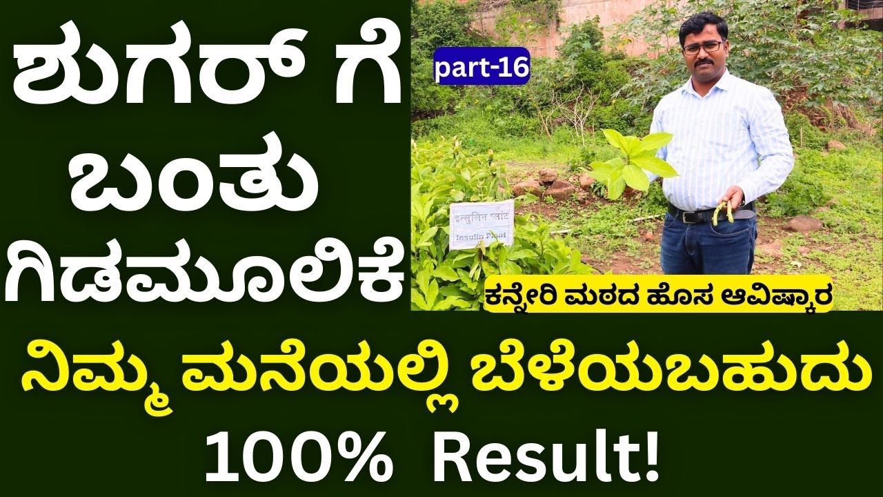ಕೇವಲ ರೂ.300 28 ಕಾಯಿಲೆಗಳಿಗೆ ಔಷಧಿ  || ಈ ಕಿಟ್ ನಿಮ್ಮ ಮನೆಗೆ ಬರುತ್ತೆ ||Part-16