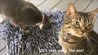 The Snuffle Mat - Food Puzzles for Cats