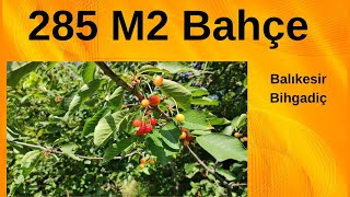 Download Lagu Keşif Arazi 285 m2 ceviz ve kiraz bahçesi. Balıkesir Biagadiç 90.000 MP3