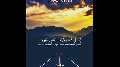 حالات واتس من سوره النحل- خالد الجليل