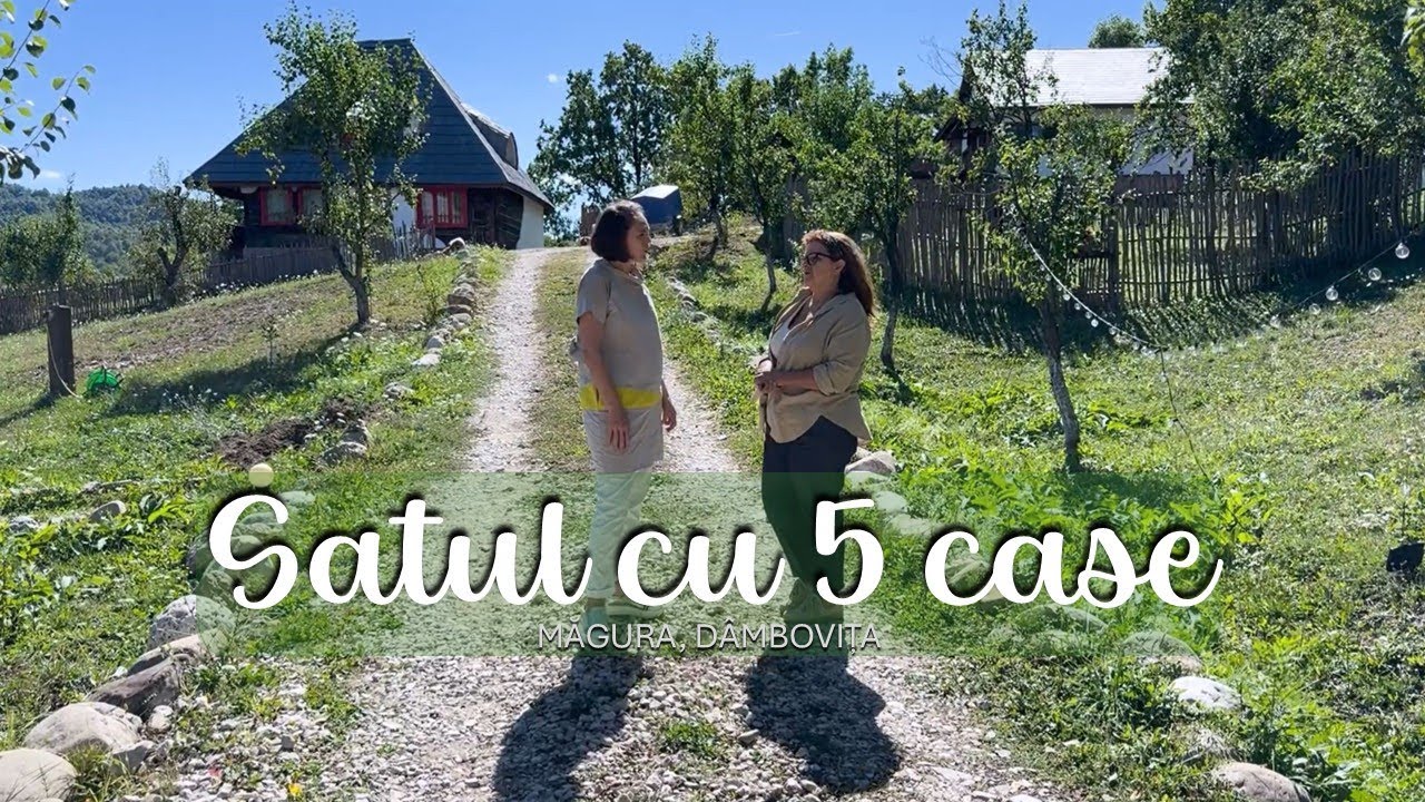 Satul cu 5 case. Și-a vândut afacerea din București ca să ridice un mini sat turistic în Dâmbovița