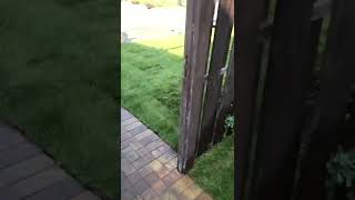 IMG 0403