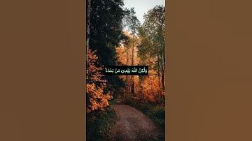 إِنَّكَ لَا تَهْدِي مَنْ أَحْبَبْتَ وَلَٰكِنَّ اللَّهَ يَهْدِي مَنْ يَشَاءُ❤️#مع_القرآن  #سورة_القصص