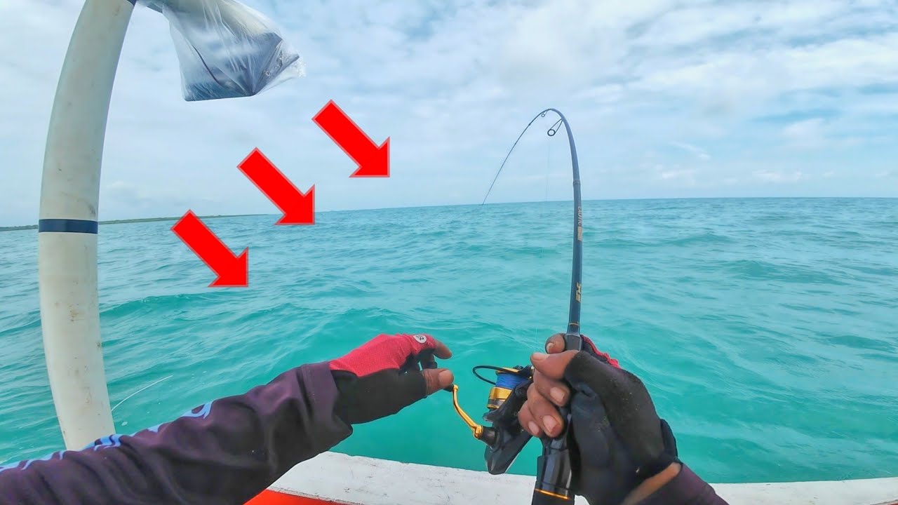 PANIK !!! LIAT ROMBONGAN IKAN BANYAK BANGET LANGSUNG GASKAN TEKNIK SABIKI 