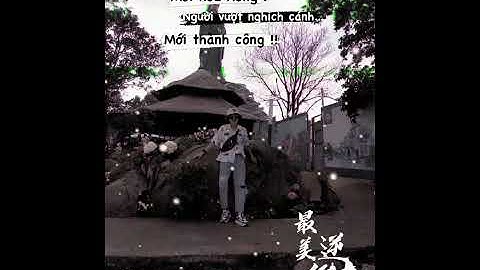 Cá chép vượt thác mới hoá rồng.. Người vượt nghịch cảnh mới thành công