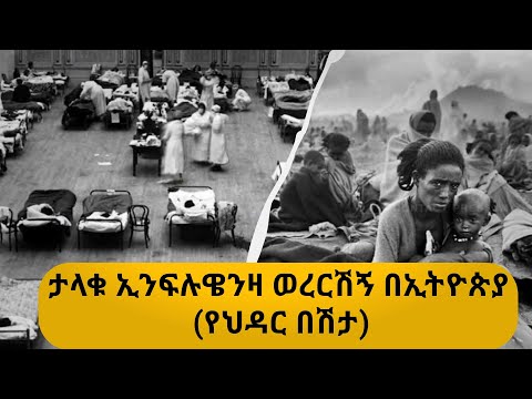 ቪዲዮ: የ1911 አውቶሞቢል የተሰሩት የት ነው?