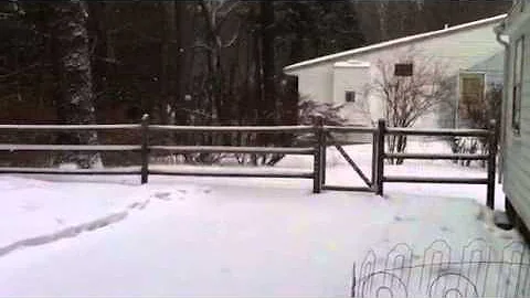Look what you missed!