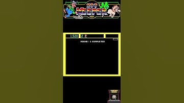 Why Zoo Keeper Is a Forgotten Arcade Masterpiece