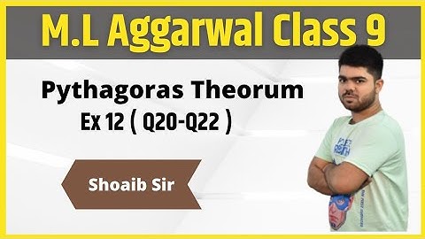 Class 9 | M.L Aggarwal | Pythagorus Theorum | Ex 12 | Part 06