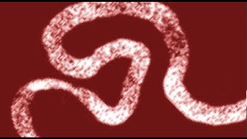 Clue, the movie, Title Sequence