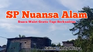 Suara Panggil walet SP Nuansa Alam